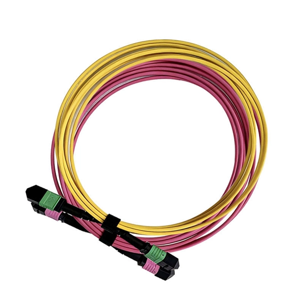 Madagascar Export Fiber Ethernet Switch 1G