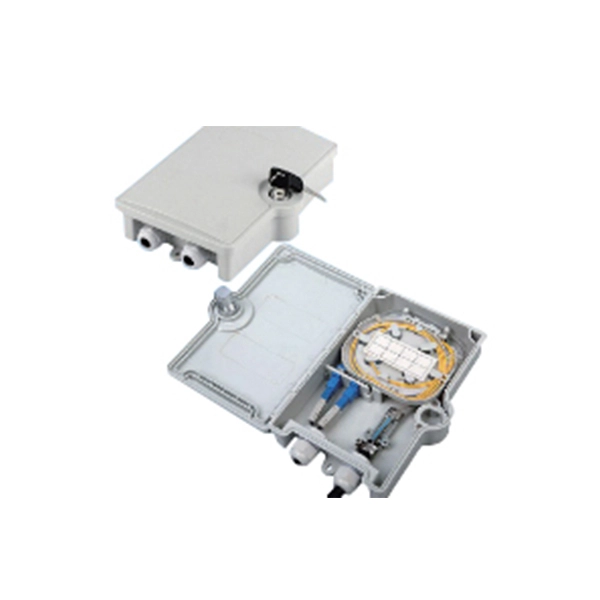 Raisecom Fiber Optic Access Method