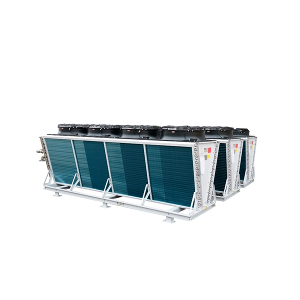 Wiring of Paraguayan Waterproof Distribution Box