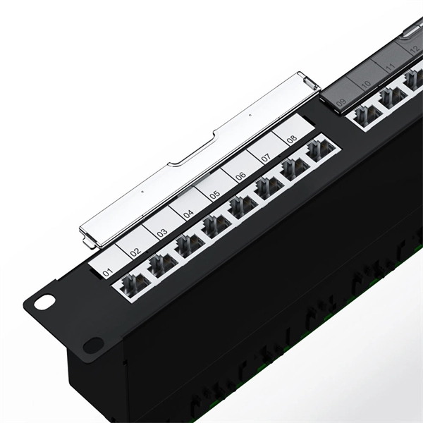 What router should I use for a 100Mbps fiber optic connection from China Telecom 