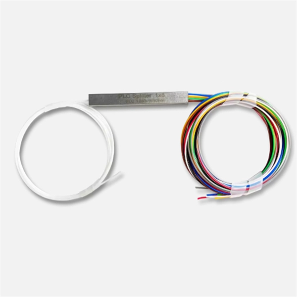 Switch optical module lamp positions