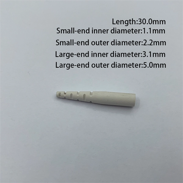 The router has two fiber optic ports 