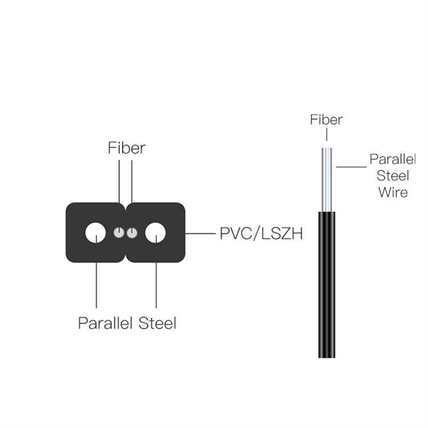 Multimode and single-mode optical modules fiber