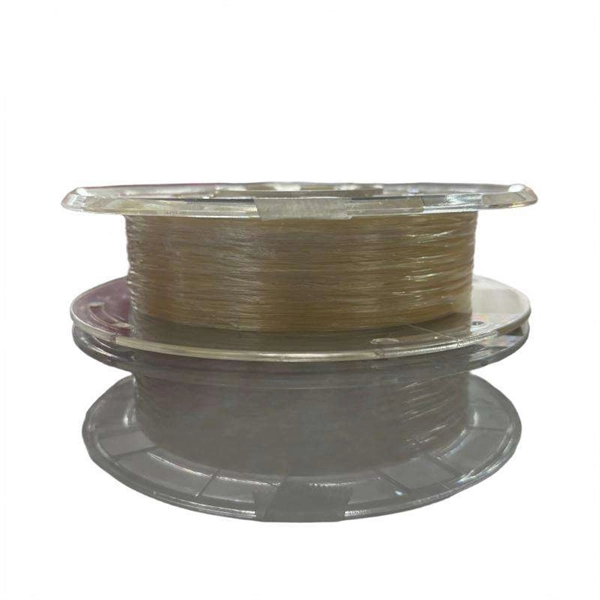 Egyptian Raman Amplifier 100G